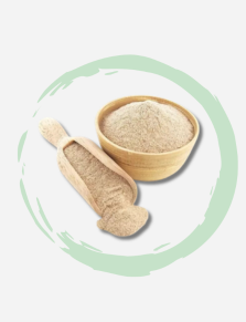 Psyllium